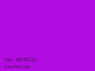 Hex #b30ce1 Color Image