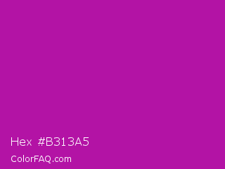 Hex #b313a5 Color Image