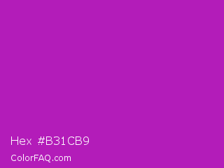 Hex #b31cb9 Color Image
