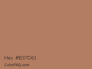 Hex #b37d61 Color Image