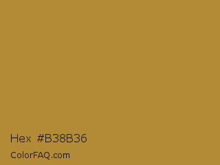 Hex #b38b36 Color Image