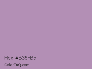 Hex #b38fb5 Color Image