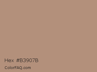 Hex #b3907b Color Image