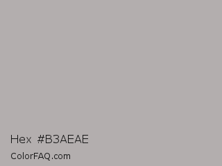 Hex #b3aeae Color Image