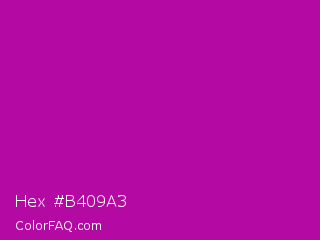 Hex #b409a3 Color Image