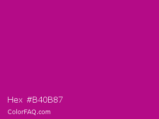 Hex #b40b87 Color Image