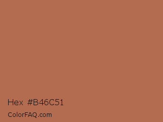 Hex #b46c51 Color Image
