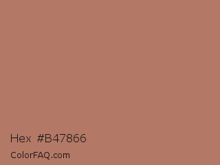Hex #b47866 Color Image
