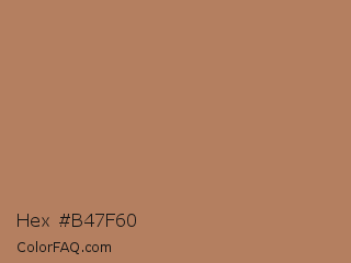 Hex #b47f60 Color Image