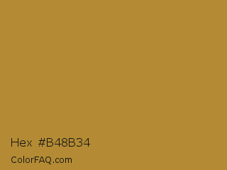 Hex #b48b34 Color Image