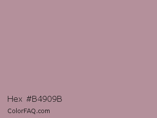 Hex #b4909b Color Image