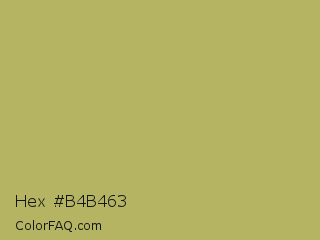 Hex #b4b463 Color Image