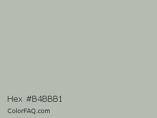 Hex #b4bbb1 Color Image