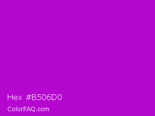 Hex #b506d0 Color Image