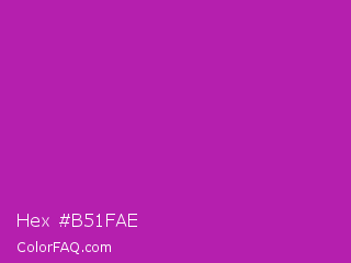 Hex #b51fae Color Image