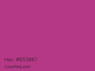 Hex #b53887 Color Image