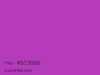 Hex #b53bbb Color Image