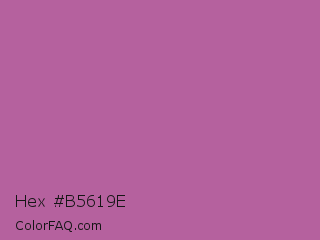 Hex #b5619e Color Image