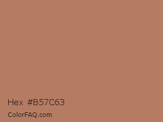 Hex #b57c63 Color Image