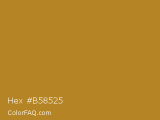 Hex #b58525 Color Image