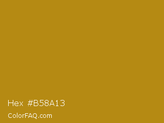 Hex #b58a13 Color Image