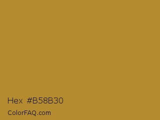 Hex #b58b30 Color Image