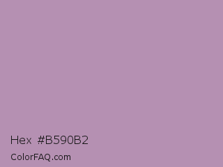 Hex #b590b2 Color Image