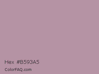 Hex #b593a5 Color Image
