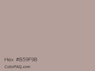 Hex #b59f9b Color Image
