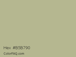 Hex #b5b790 Color Image