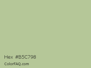Hex #b5c798 Color Image