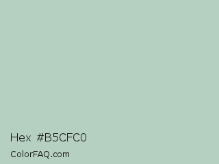 Hex #b5cfc0 Color Image