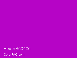 Hex #b604c6 Color Image