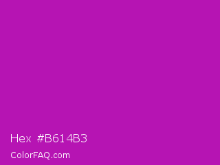 Hex #b614b3 Color Image
