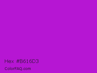 Hex #b616d3 Color Image