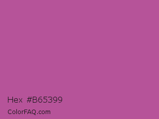 Hex #b65399 Color Image