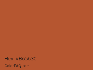 Hex #b65630 Color Image