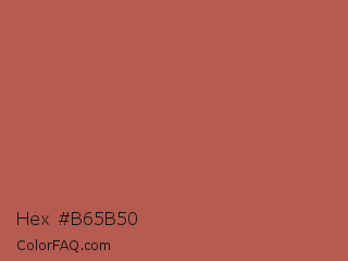 Hex #b65b50 Color Image