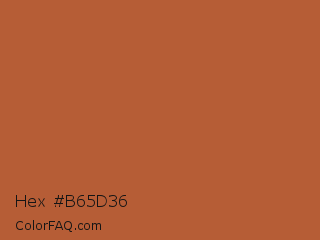 Hex #b65d36 Color Image