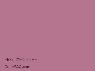 Hex #b6758e Color Image