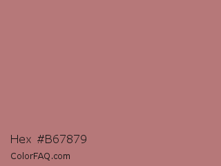 Hex #b67879 Color Image