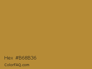 Hex #b68b36 Color Image