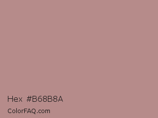 Hex #b68b8a Color Image