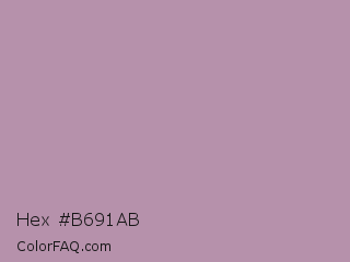 Hex #b691ab Color Image