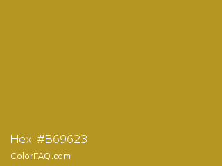 Hex #b69623 Color Image