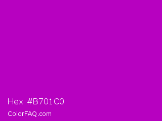 Hex #b701c0 Color Image