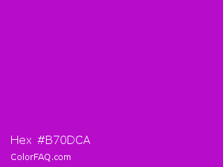 Hex #b70dca Color Image