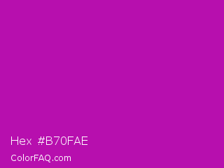 Hex #b70fae Color Image