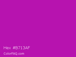 Hex #b713af Color Image