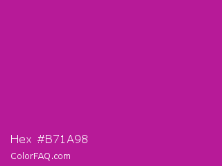 Hex #b71a98 Color Image